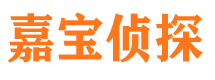 镇安市婚外情调查